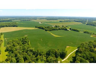 TRACT 10 - LAND AUCTION - 1,193+/- ACRES IN 14 TRACTS IN PIKE & GIBSON COUNTY, INDIANA